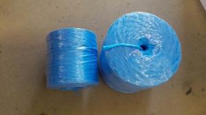 Wholesale Tomato PP Baler Twine In Agriculture UV Protection With High Strength from china suppliers