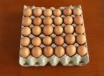 Automatic Egg Tray Making Paper Pulp Molding Egg Packing Trays Production Line