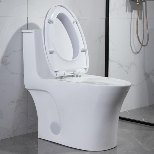 Public Bathrooms Toilets Iapmo Ada American Standard Elongated Toilet One Piece