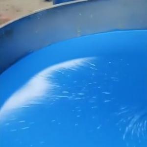 Wholesale Medium Viscosity Waterborne Paint Coating Aqueous Coating System from china suppliers