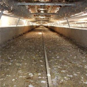 Wholesale Steady Performance Automatic Manure Removal System 0.75kw Power Long Warranty from china suppliers