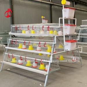 Wholesale Premium Poultry Farm A Type Pullet Chicken Cage Battery Chicken Brooding Cage Iris from china suppliers