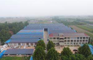 Wholesale CEC 300kW On Grid Solar  System , Grid Tied Solar Power System from china suppliers