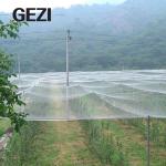 Wholesale Custom Large Size Galvanized Greenhouse Tunnel Greenhouse For
