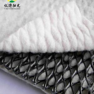 Wholesale Composite Drainage Network Geonet Core 5mm-12mm for Long-Lasting Drainage Engineering from china suppliers