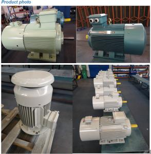Wholesale AC Squirrel Cage Electric Motor Three Phase VFD Inverted 0.18 - 375kw from china suppliers