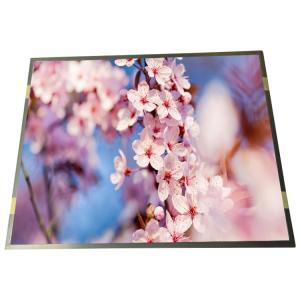 Wholesale 19.0 Inch 1280(LCR)×1024 SXGA 86PPI Medical LCD Panel R190EFE-L51 from china suppliers
