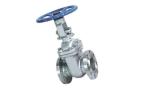 Flanged A105 WCB Body CS Gate Valve RTJ Rising Stem Gate Valve Cast Steel