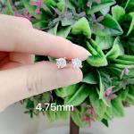 Moissanite Sterling 925 Silver Stud Earrings AAAA+ Cubic Zirconia
