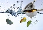 Stainless Steel Kitchen Tools Commercial Orange Juice Squeezer / Citrus Juicer