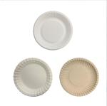 Disposable Biodegradable Party Plates 7" Sugarcane Paper Plates