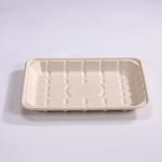 Disposable Biodegradable Sugarcane Bagasse Tray Recycled Paper Food Tray