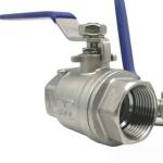 General Steel Handle with Locking Internal Thread BSP NPT 2PC Ball Valve SS304