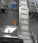 SUS 304 Frozen Food Packing Machine Auto Weighing System CE Certificate