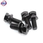Pan Head Dacromet Black Oxide Three Triple Combination Bolt Screw Assembly