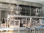 WG300 Industrial Automatic Food Automatic Packaging Line Solution SUS304