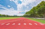 Weather Resistance Sandwich System Running Track Synthetic Sports Flooring
