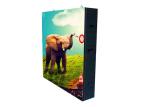 Smd P 6 Outdoor LED Displays For Events / Water proof led large screen display