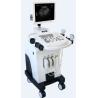 Buy cheap Middle-end Trolley BW Veterinary Ultrasound Scanner from wholesalers