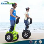 2 Wheel Self Balancing Scooter Off Road Segway Brushless Motor 4000w 110-240V