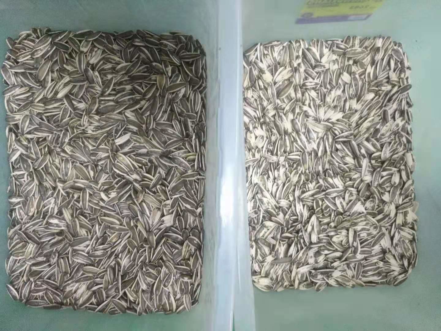 Digital Optical CCD Sunflower Seeds Color Sorter Machine For Sorting All Kinds Of Seeds With Best Factory Price