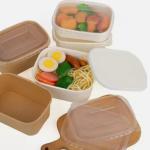 Biodegradable Paper Bento Box Oil Proof