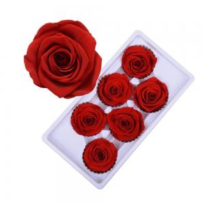 Wholesale Hot selling preserved rose head with fresh rose smell everlasting rose Forever Roses Christmas gift rose from china suppliers