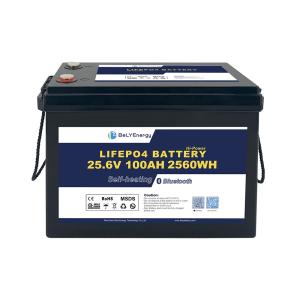 Wholesale 24V 100AH LiFePO4 Lithium Battery with BT and heating for Marine/Boat from china suppliers
