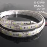 SMD5050 60LEDs/m strip