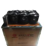 Top- Engine Overhaul Kits Weichai Power Wp10 Part No. 612600900079 Other Car