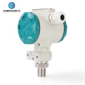 Wholesale 12-36V DC Pressure Instrument Series for Overload Pressure 2 Times Full-scale Pressure durability 304 Wetted Parts from china suppliers
