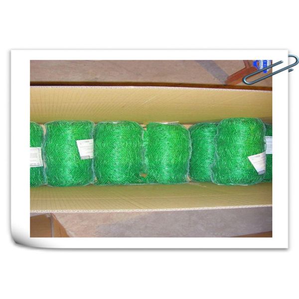 Extrusion Type Plant Support Net Used For Vines Vegetable Crops 24x24cm Mesh Size