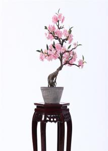China Plastic Outdoor Bonsai Tree Fire Retardant Fabricated Tropical Landscapes on sale