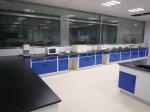 Movable Cabinet Chemistry Lab Furniture , Chemical Resistant Lab Tables
