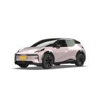 Long Cruising Range ZEEKR X Luxury New Energy Vehicles Pure Electric SUV for