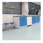 Steel Wooden Wall Mounted Lab Bench With Easy Installation