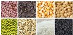 Automatic Beans Grain 4 Heads Linear Weigher Packing Machine 1000g 2kg