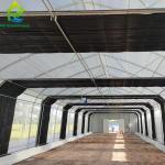 Black White Film Single Span Small Tunnel Custom Light Deprivation Greenhouse