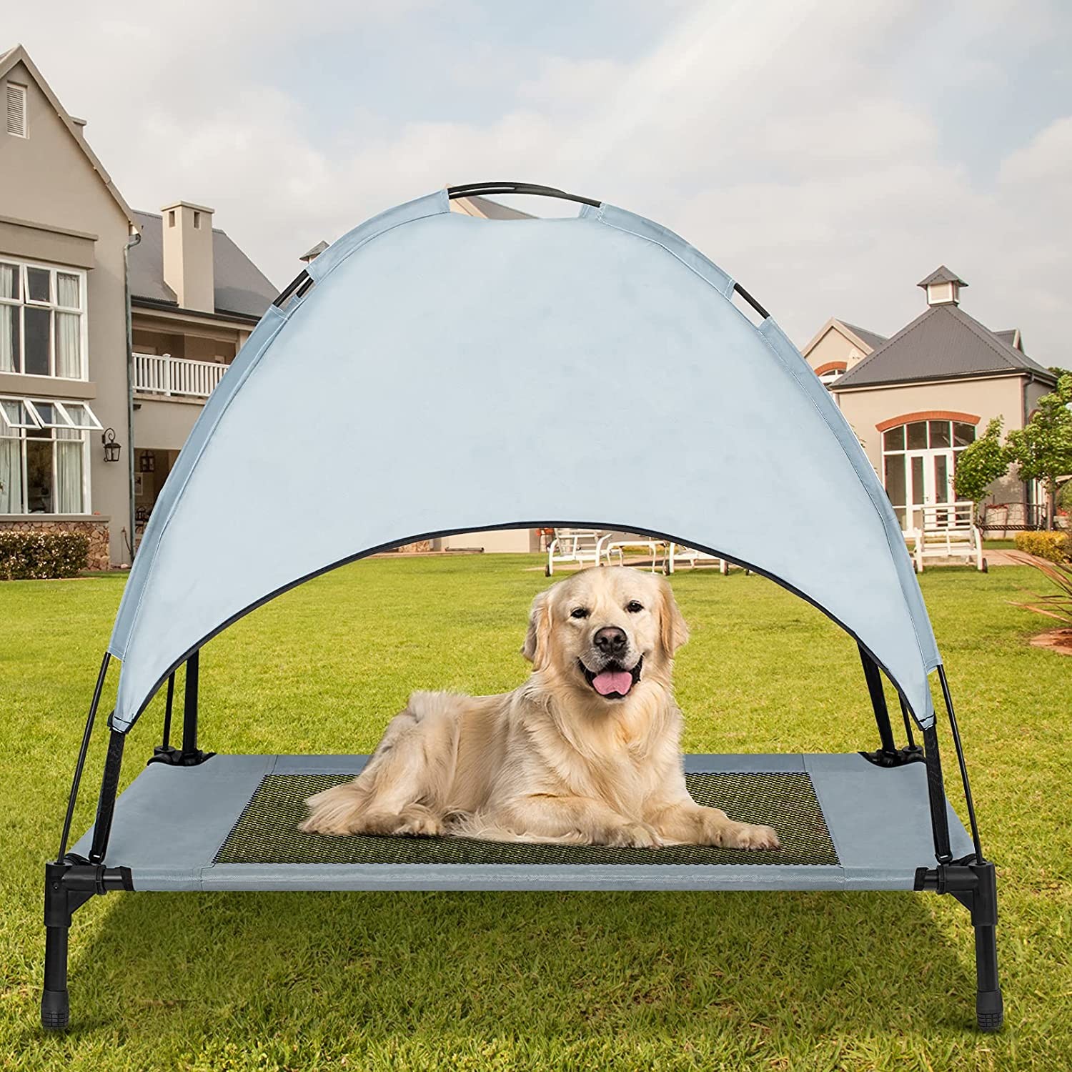 Cooling Raised Pet Cot for Dogs and Cats