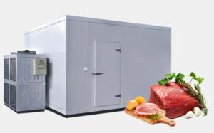 Wholesale Meat Fish SS314 Cold Room Food Storage 8000mm Cold Storage Chiller from china suppliers