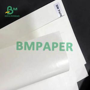 Wholesale White Cup Stock Paper Roll 200gsm + 15PE Single Side Coated For Paper Cup from china suppliers