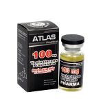 Off Set Printing Silver Stamped vial Glass Vial Labels