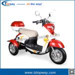 48v 500W 2017 New design model 3 Wheel fully adult electric cargo tricycle