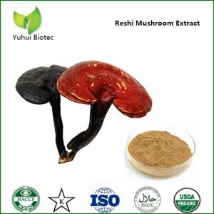 China Reishi Mushroom Extract,reishi extract,reishi mushroom powder,lingzhi extract on sale