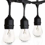 Festoon Garland Light LED Clear Bulb Belt Lights Low Voltage Lighting Strand