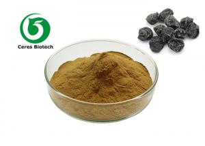 China 100% Natural Dark Plum Fruit Juice Powder Food Grade Health Care on sale