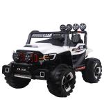 Four-Wheel Drive Climbing Remote Control Off Road Truck Toy for G.W. N.W 31.6kg
