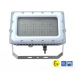 80W 100W 120W LED Explosion Proof Flood Light Power Factor ＞ 0.98 Tank Series