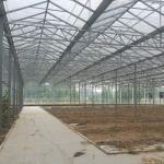 Vegetable Fruits Flowers Glass Agriculture Greenhouse with Inside Outside