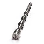 Excavator Camshaft for Weichai Diesel WD618 WP10 Engine Dongfeng Volvo Truck As